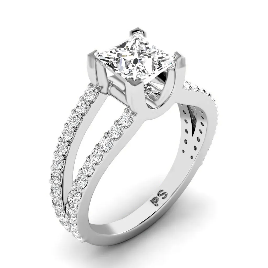 0.85-2.00 CT Round & Princess Cut Diamonds - Engagement Ring