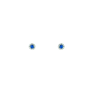 14 Karat White Gold Sapphire Earrings with Diamond Halo