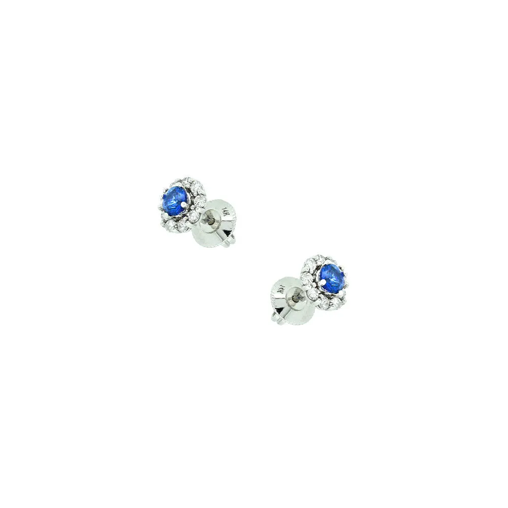 14 Karat White Gold Sapphire Earrings with Diamond Halo
