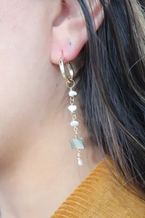 Abalone Charms